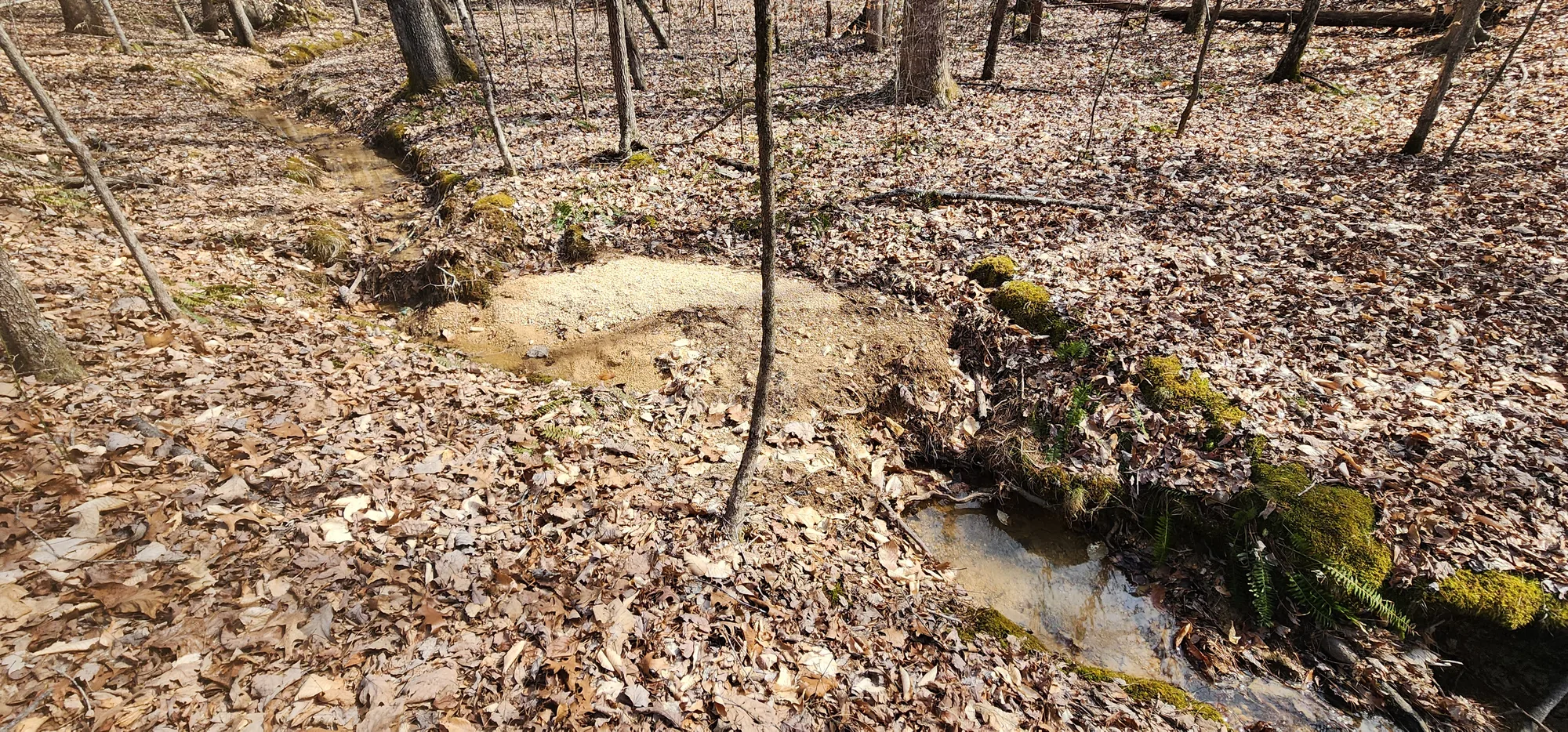 Clear water running over gravel in the hollow on the property.