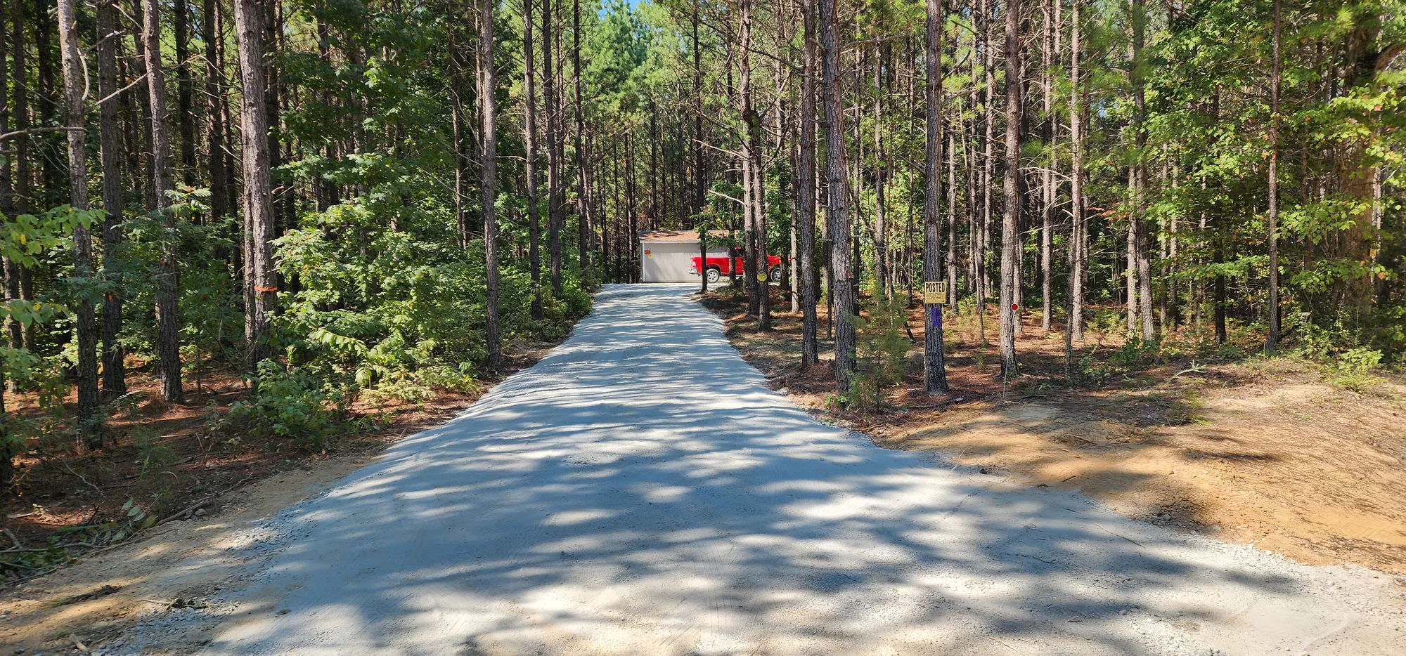A wide gravel driveway running through tall pines toward a building and parked truck.