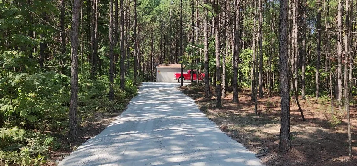 Gravel drive running straight through tall pines.