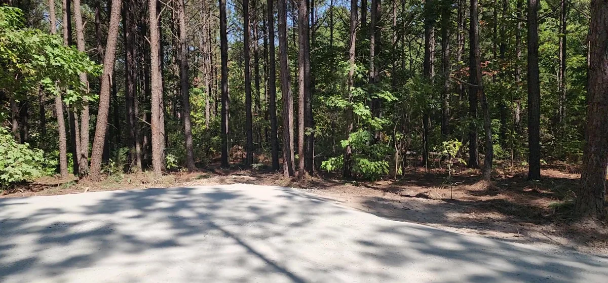 A wide level gravel pad surrounded by pine trees.